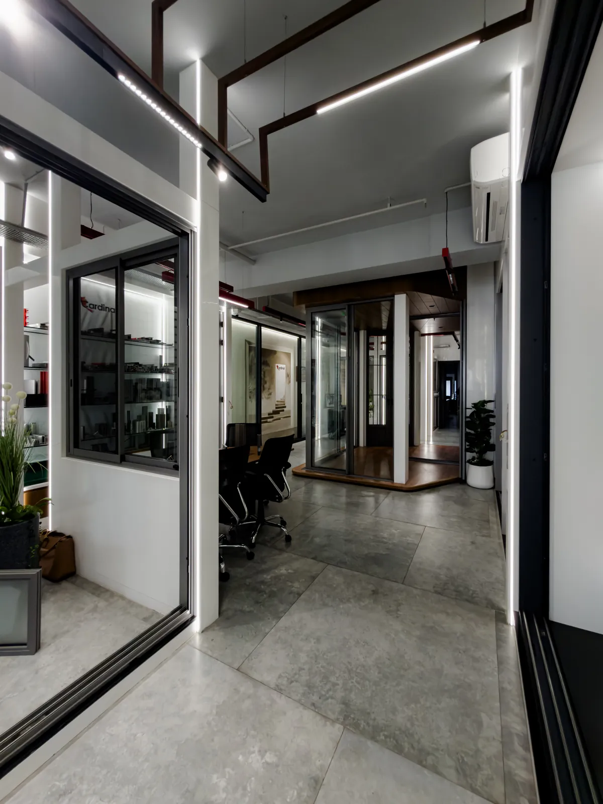Cardinal — view 5